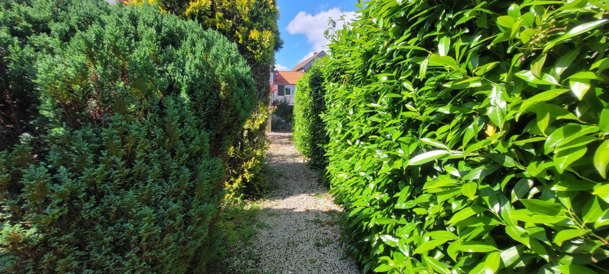 La Maison De L'Abeille De Percey Longeau-Percey Zewnętrze zdjęcie