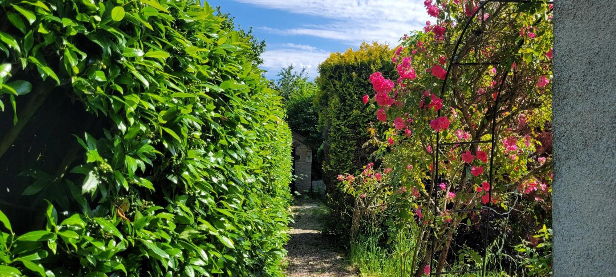 La Maison De L'Abeille De Percey Longeau-Percey Zewnętrze zdjęcie